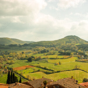 Download - Licence One Image