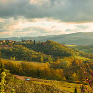 Print - Hills of Italy